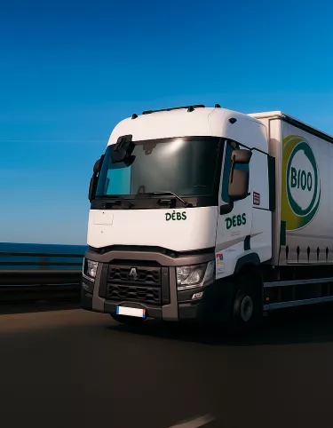 Camion B100 Occasion