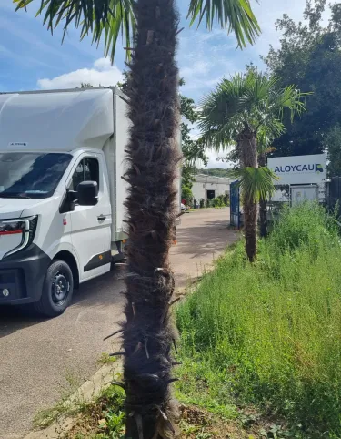 FOURGON MESSAGERIE RENAULT TRUCKS